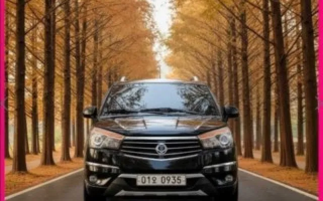 코란도투리스모 중고차 코란도투리스모 4WD TX 매물 사진 1 - 2016/03 189,220km